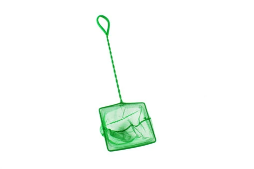 Fish Net 5