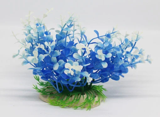AQUATIC PLANT S 173