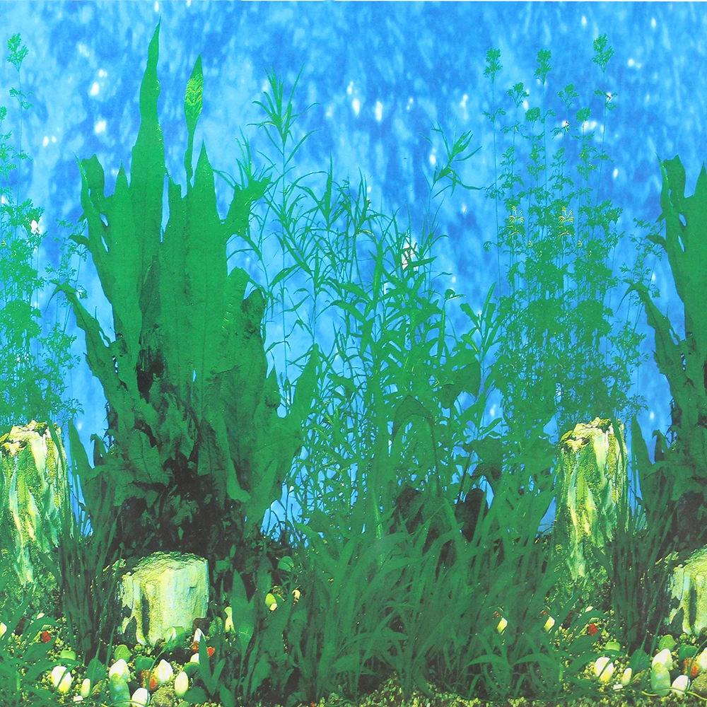 background Aquarium 50cm