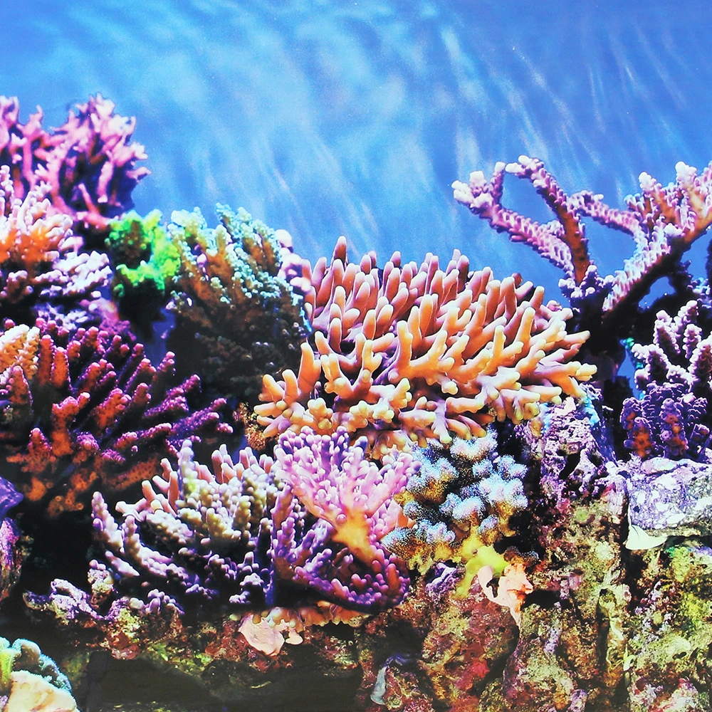 background Aquarium 50cm
