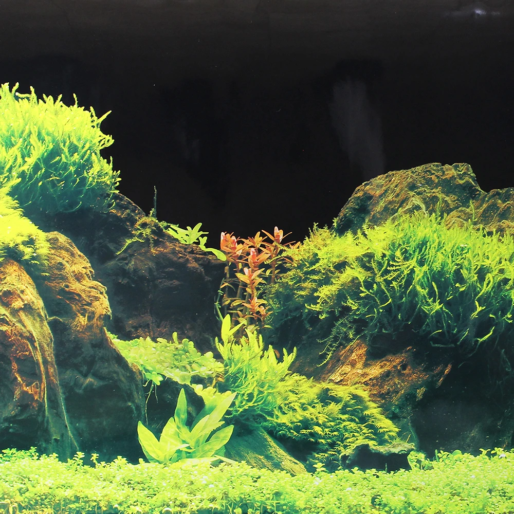 background Aquarium 50cm