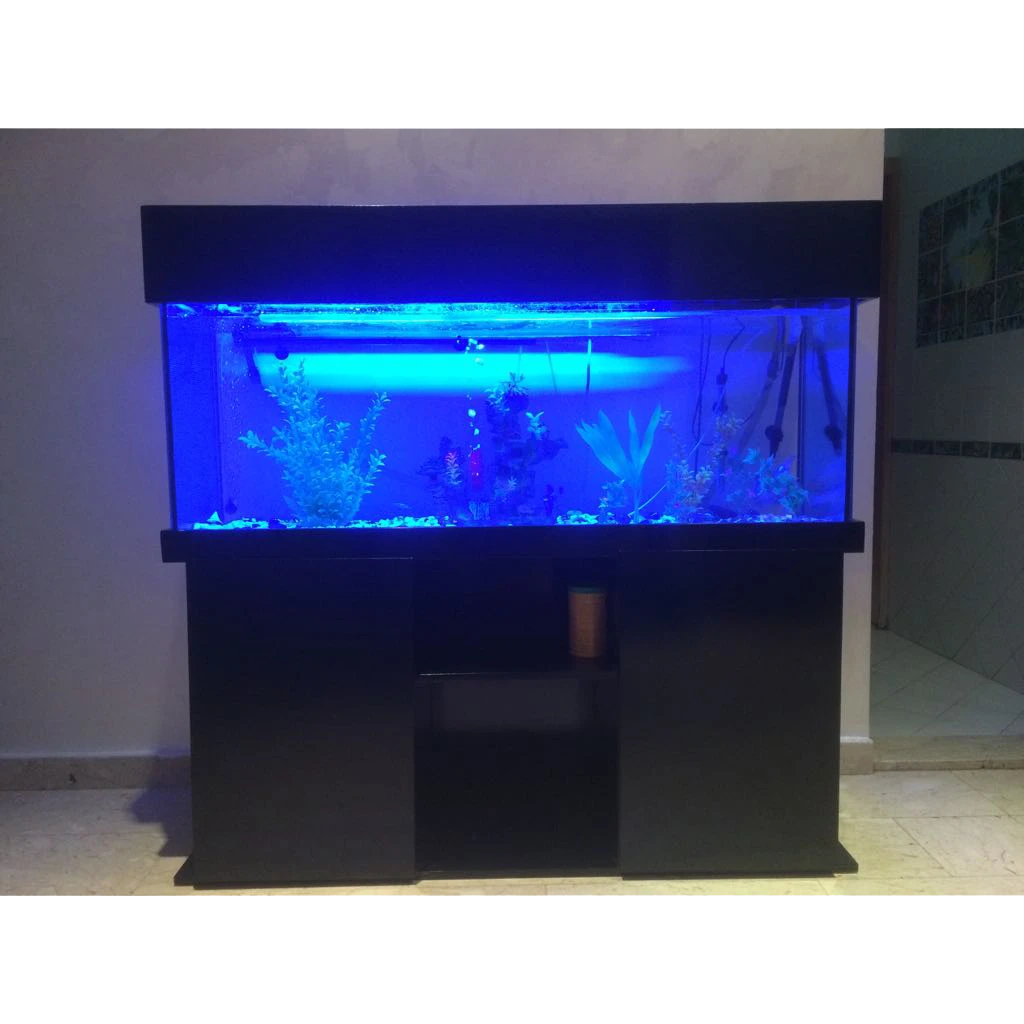 DESIGN AQUARIUM
