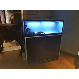DESIGN AQUARIUM