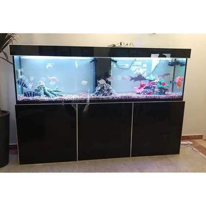 DESIGN AQUARIUM MARINE